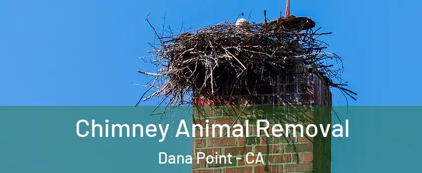  Chimney Animal Removal Dana Point - CA