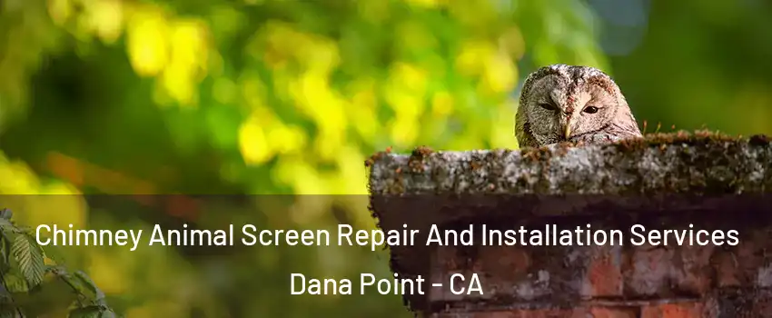  Chimney Animal Screen Repair And Installation Services Dana Point - CA