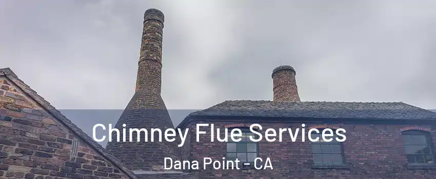  Chimney Flue Services Dana Point - CA