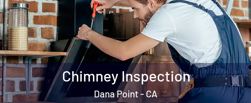  Chimney Inspection Dana Point - CA