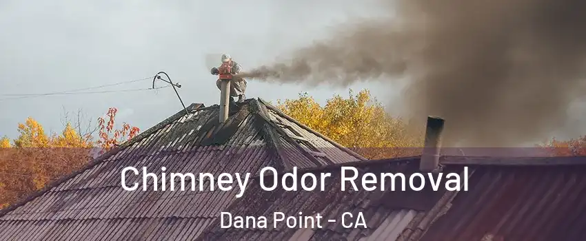  Chimney Odor Removal Dana Point - CA