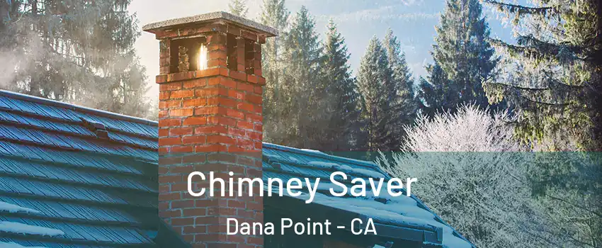  Chimney Saver Dana Point - CA
