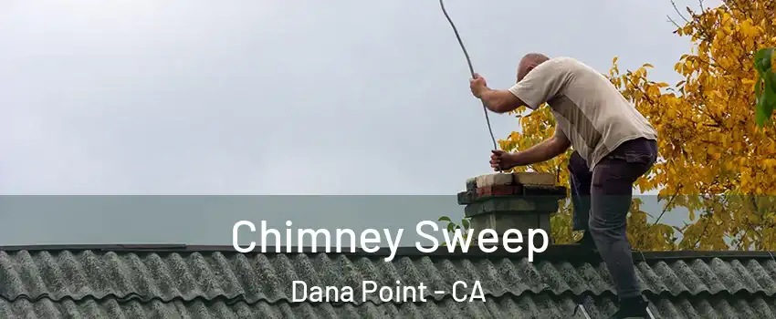  Chimney Sweep Dana Point - CA