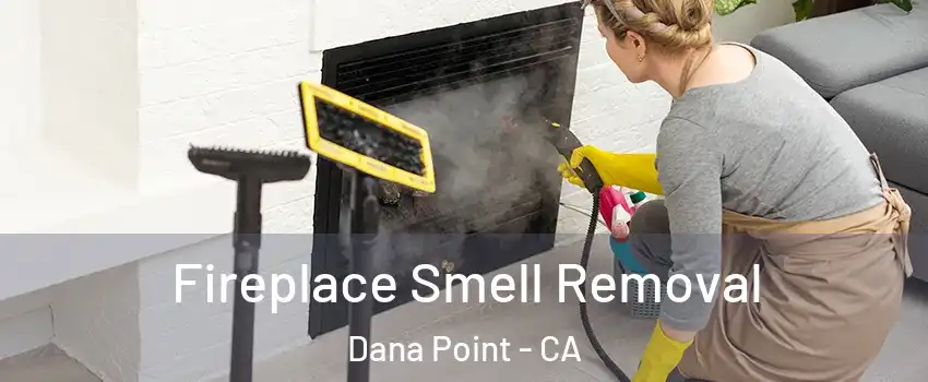  Fireplace Smell Removal Dana Point - CA