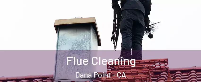  Flue Cleaning Dana Point - CA