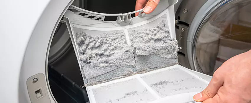 Best Dryer Lint Removal Company in Dana Point, California
