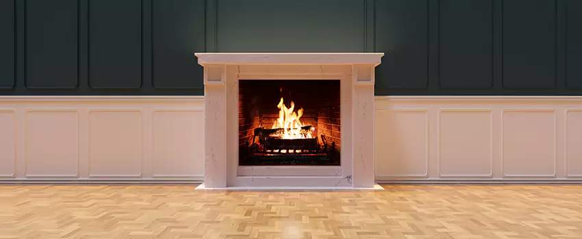 Napoleon Electric Fireplaces Inspection Service in Dana Point, California