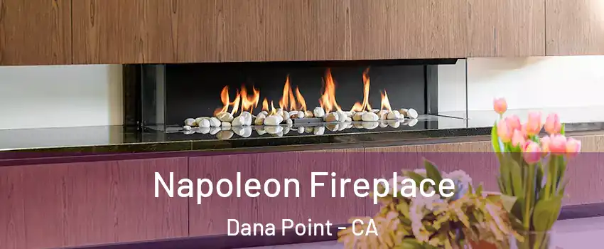  Napoleon Fireplace Dana Point - CA